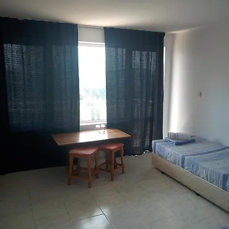 Despina 네세부르