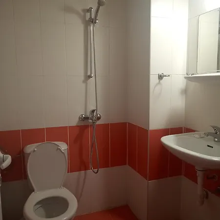 Despina Pensionat 3*